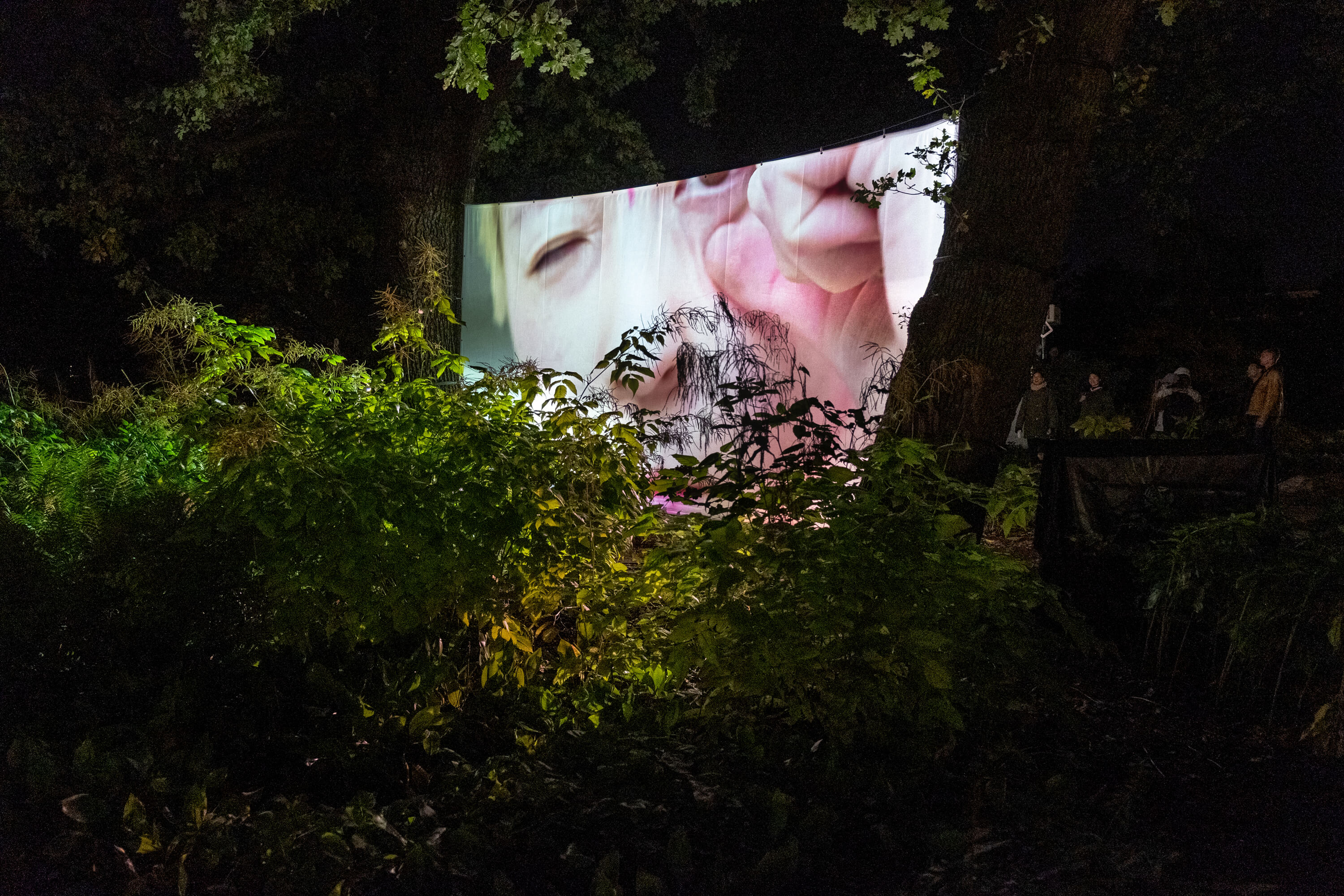 Installation at Planten un Blomen park in Hamburg by Hiền Hoàng, featuring large-scale video projections on towering trees. The immersive experience comprises three distinct screens, each showcasing a different film from the 'Scent from Heaven' project. The videos explore themes of tree’s suffering, human’s dream of healing and salvation and sensory perception, enveloping viewers in a mesmerizing blend of sight and sound amidst the natural surroundings of the park.